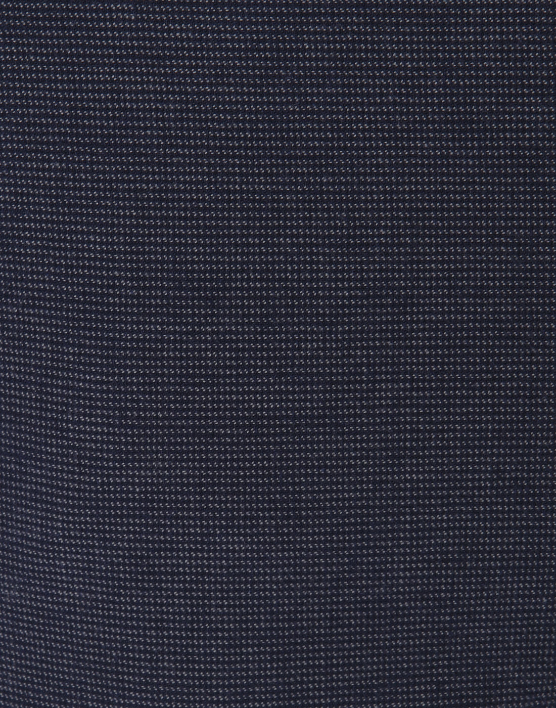 Blue Chino Pants