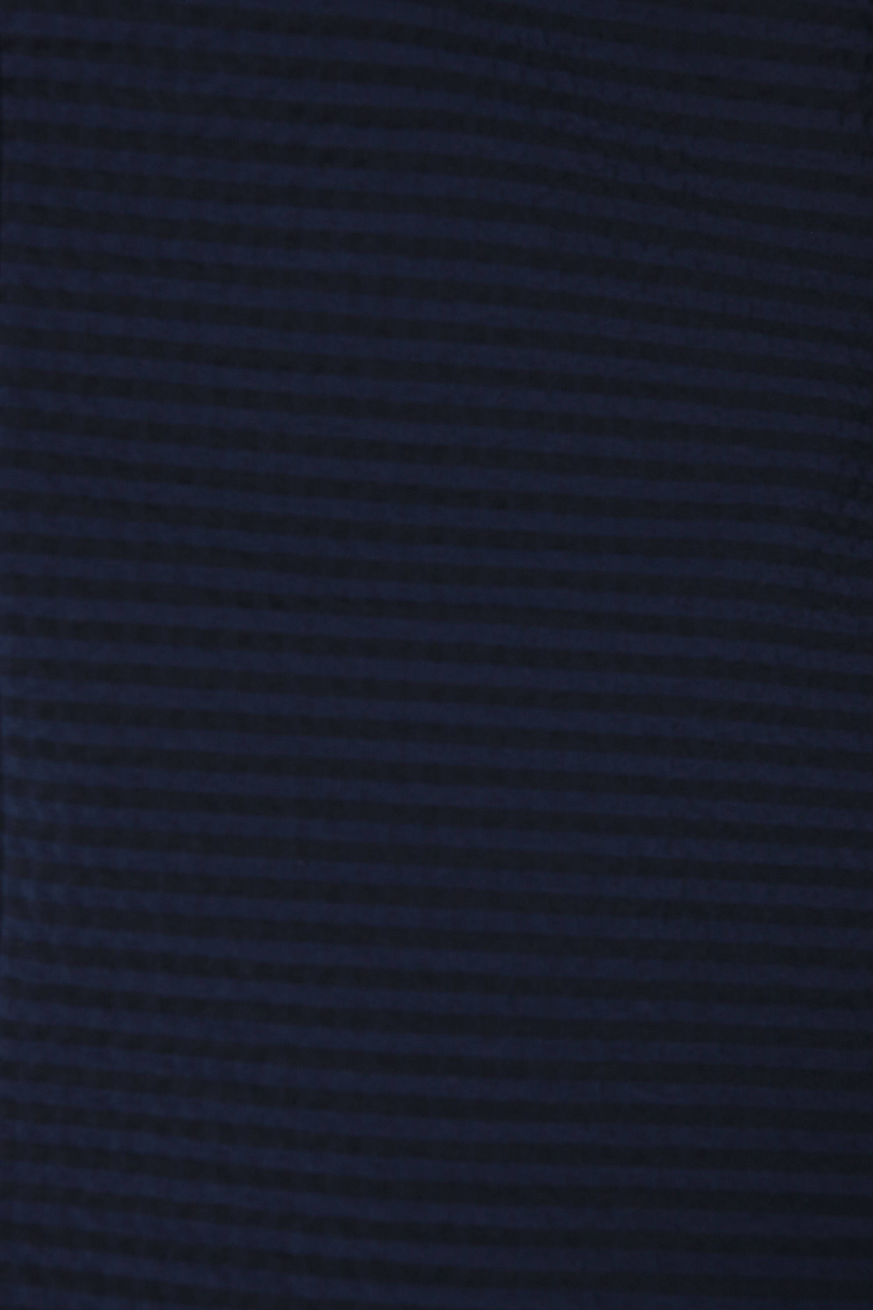 Navy Blue Striped Slim Fit Blazer