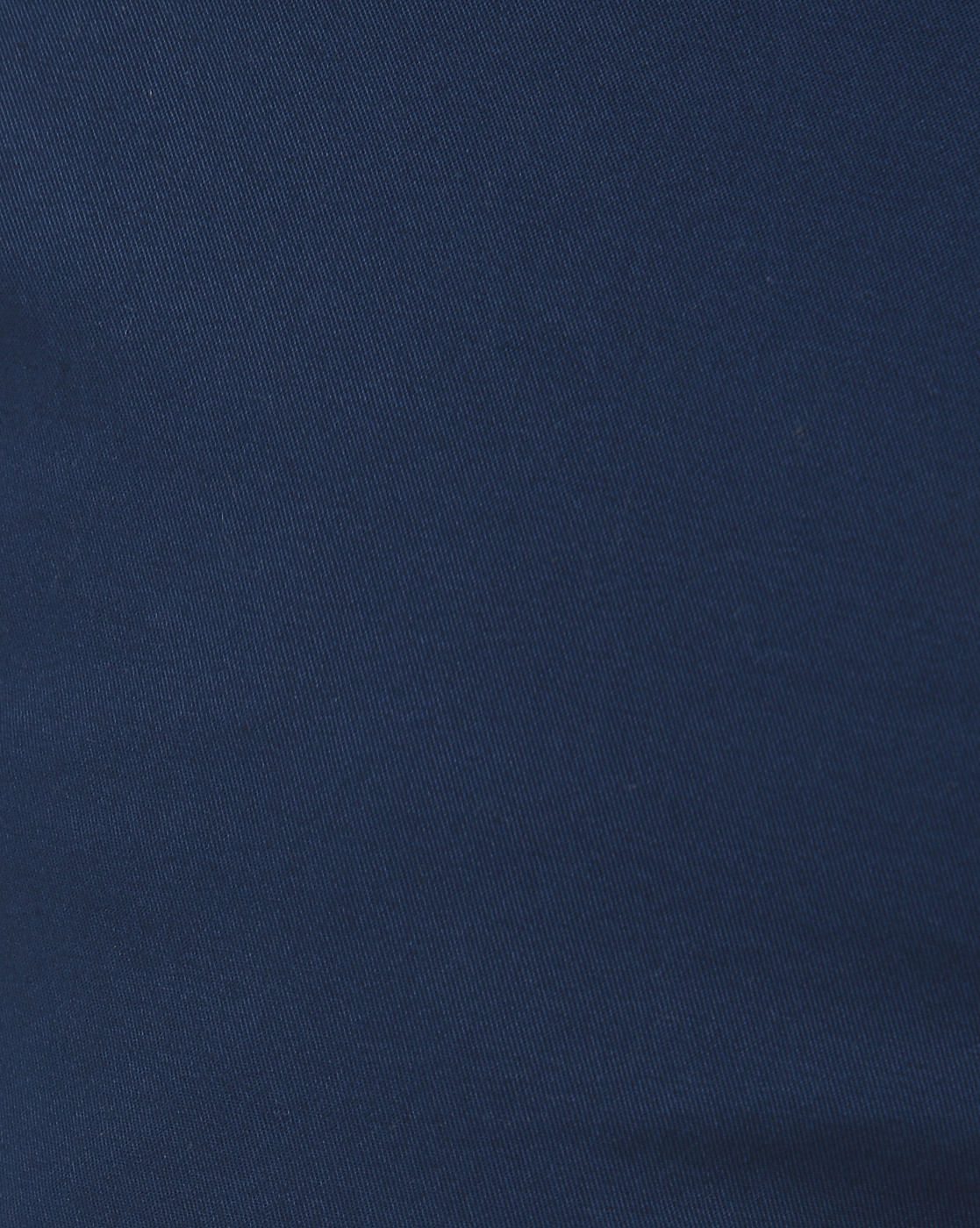 Blue Regular Fit Pants