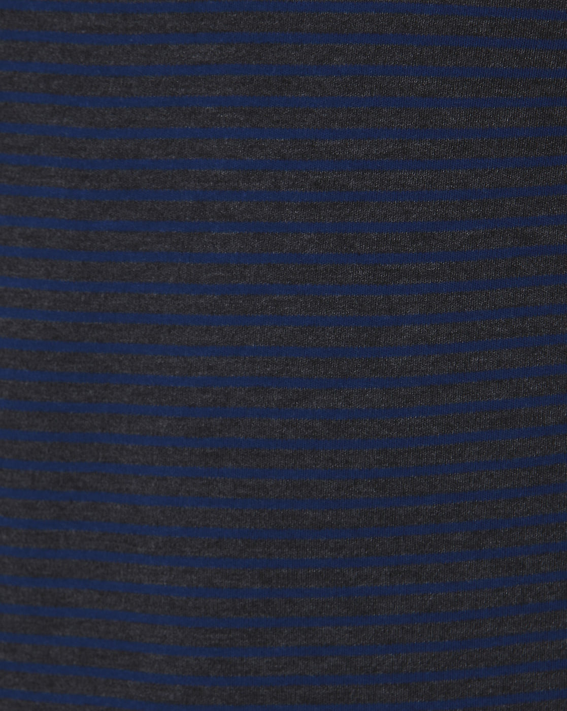 Blue Striped Slim Fit Crew Neck T-Shirt