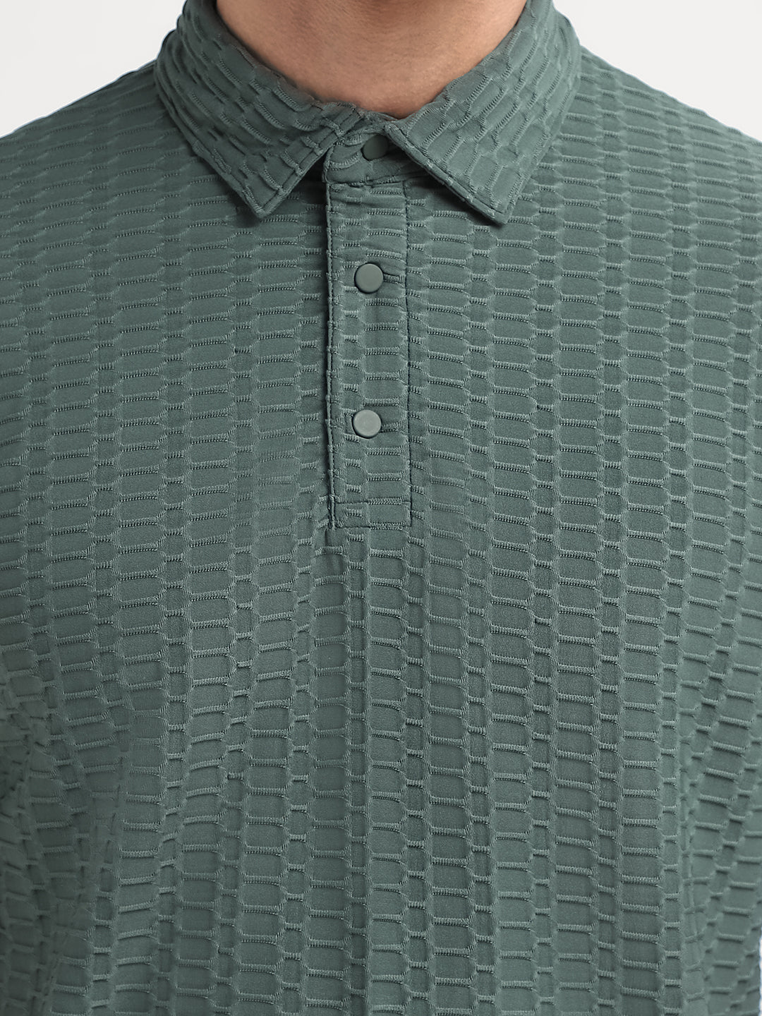 Green Seersucker Regular Fit Polo