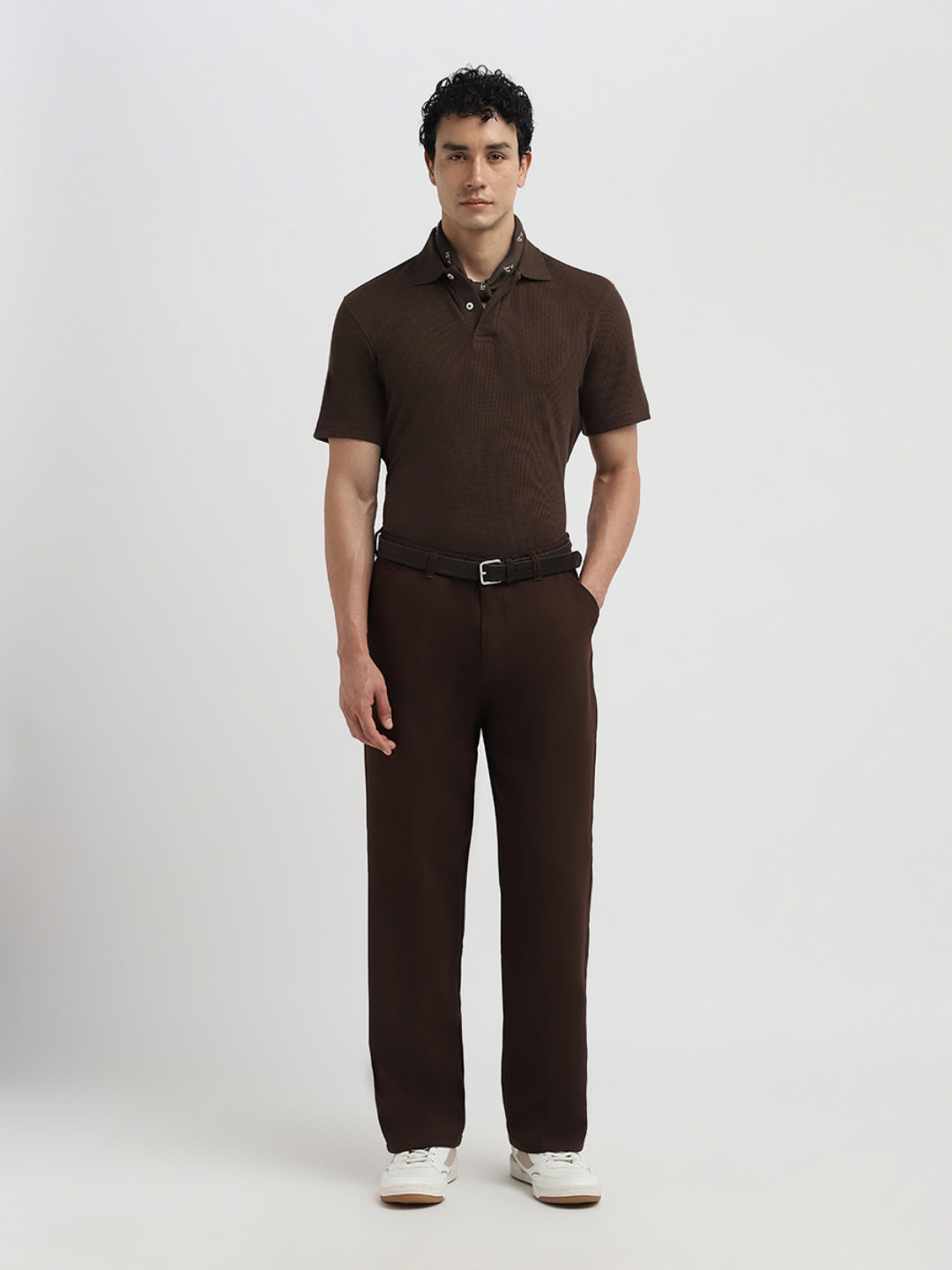 Dark Brown Regular Fit Polo