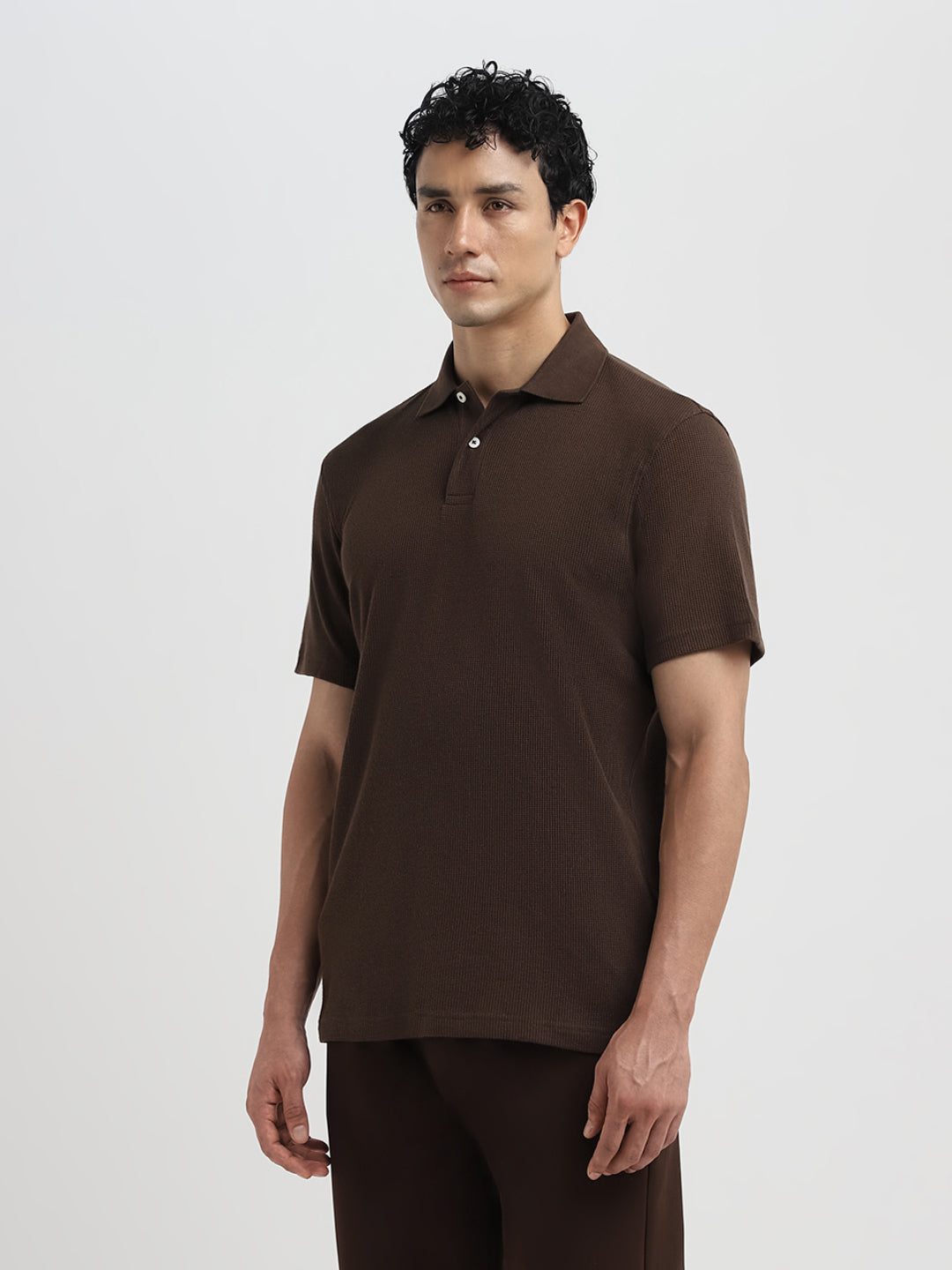 Dark Brown Regular Fit Polo