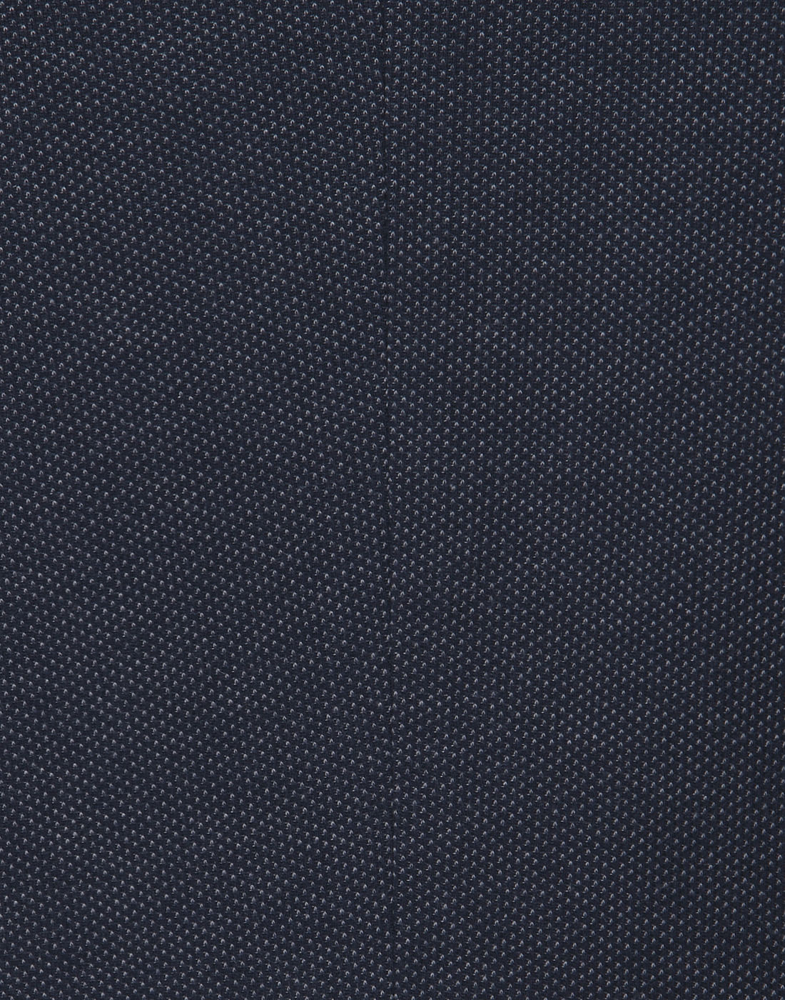 Blue Blazer
