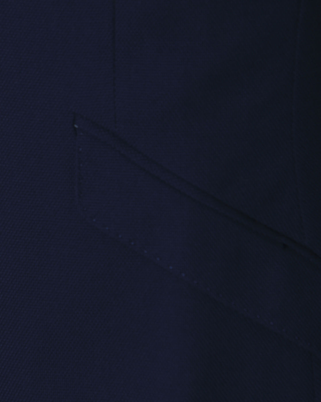 Blue Blazer