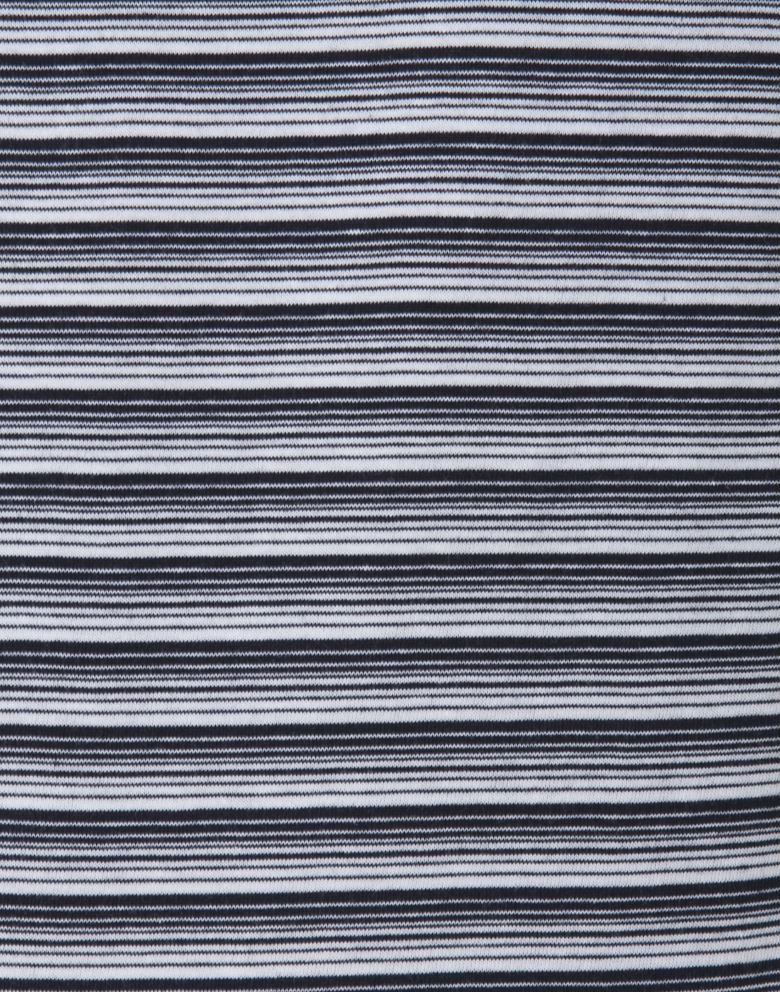 Blue Striped Crew Neck T-Shirt