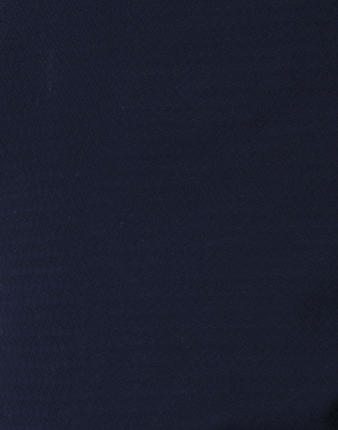 Blue Chino Pants