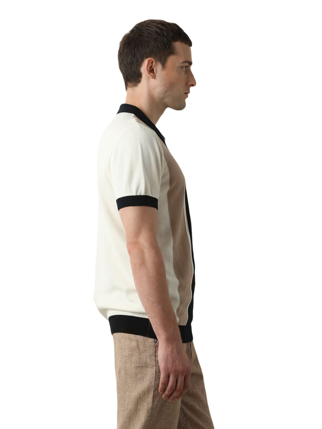 Beige Colourblocked Knitted Polo