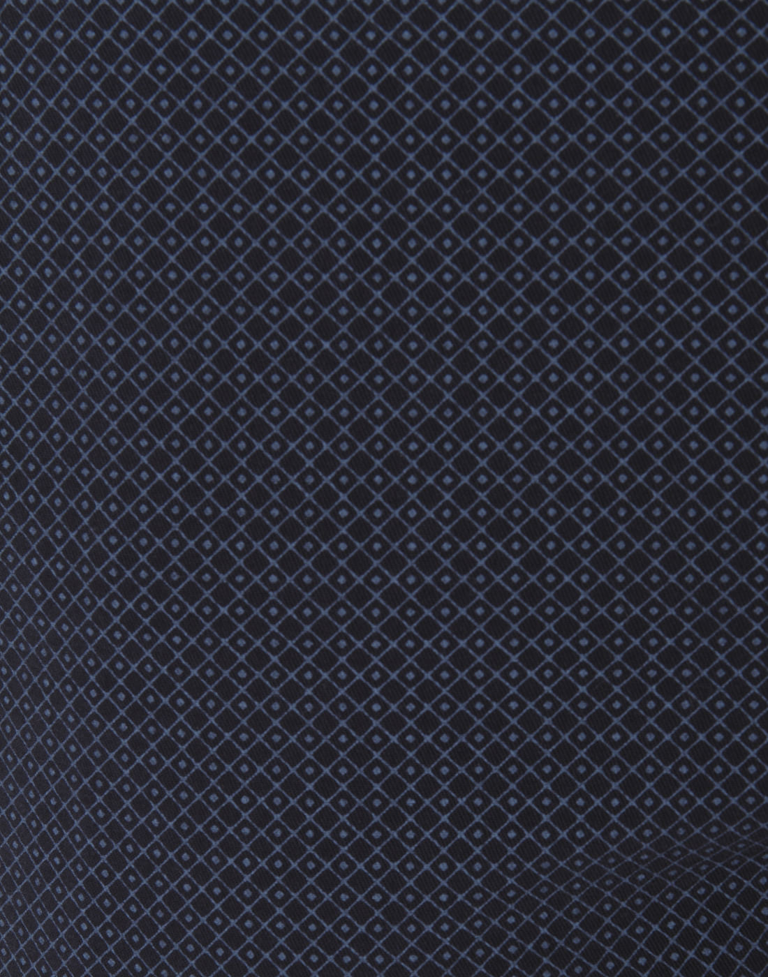 Blue Chinos