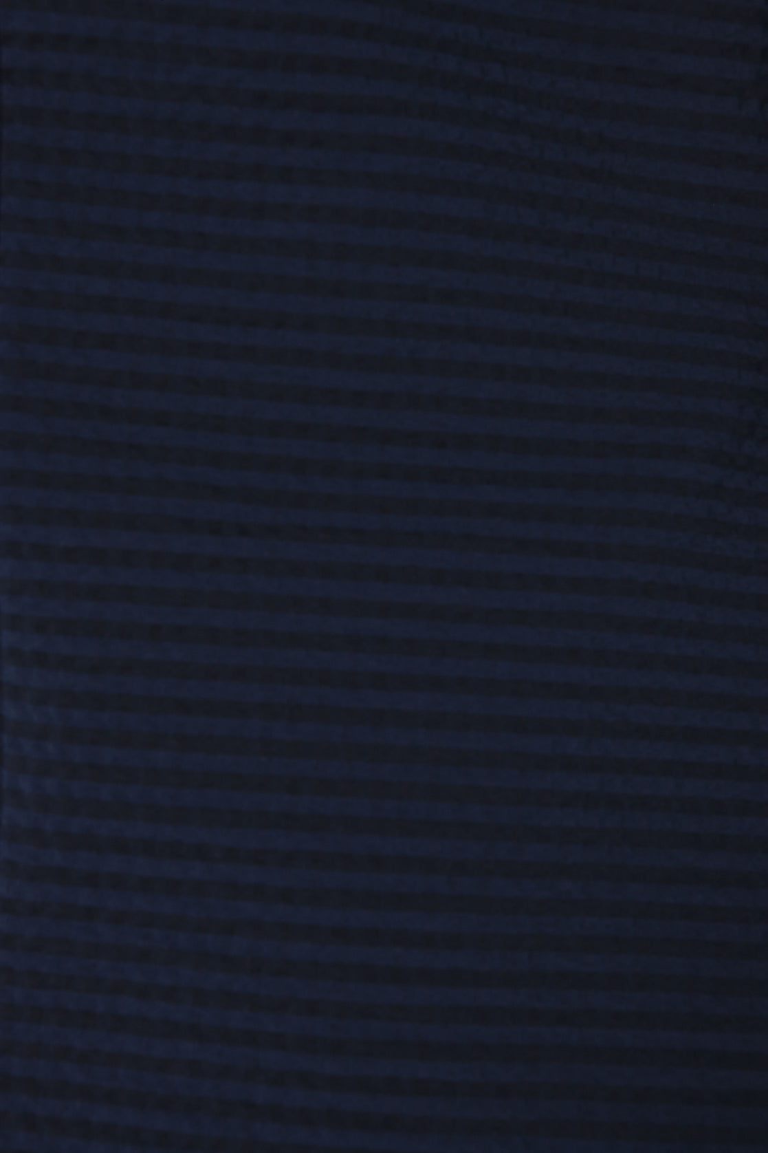 Navy Blue Striped Slim Fit Blazer
