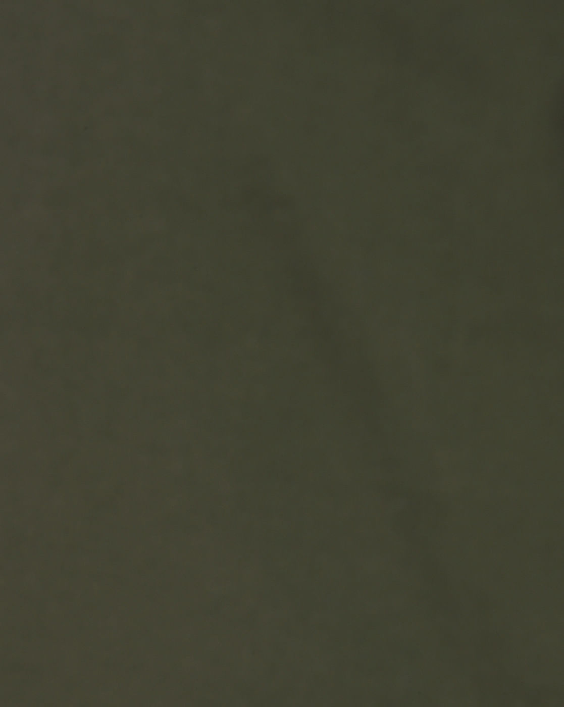 Green Drawstring Tapered Fit Pants